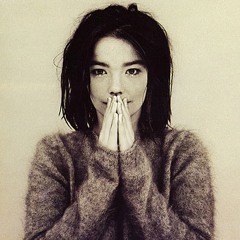 Bjork - Like Someone In Love (sodwn rework)