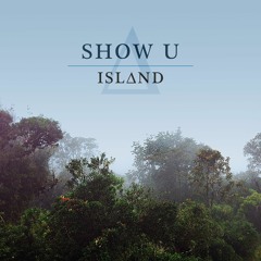 theislandmusic 1: the color is Rnb