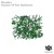 Artwork for Moonface - First Contact (Original Mix)