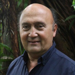 Schilddrüsen Erkrankungen