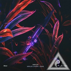 Ekali – Babylon ft. Denzel Curry (Skrillex & Ronny J Remix)(Kenan Belzner Flip)