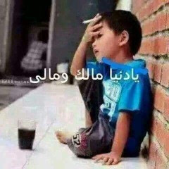 موال غدر الصاحب فى القلب مصاحب كلام للى بيفهم