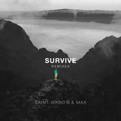SAINT WKND & MAX - Survive (PLS&TY Remix)