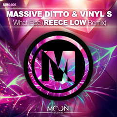 Massive Ditto & Vinyl S - What Else (Reece Low Remix)
