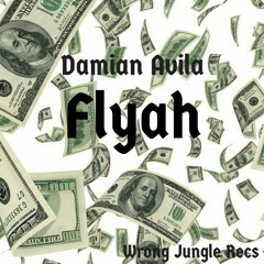 Damian Avila - Flyah