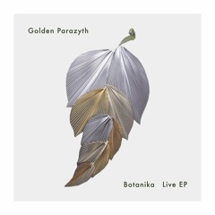 Golden Parazyth - Upė ( Live )