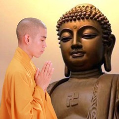 Con Xin Sám Hối