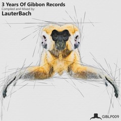 Blitz & Planck - Drauf Gepfiffen | 3 Years Of Gibbon Records Compiled & Mixed by LauterBach