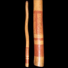 Overtone-ambiguous Western Australian (Gooloomboong?) didgeridoo D#