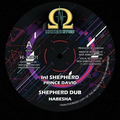 Prince David Meets Habesha- INI Shepherd / Shepherd Dub