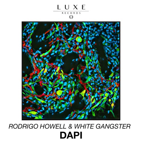Rodrigo Howell & White Gangster - Dapi [LUXE049]
