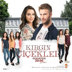 KIRGIN ÇİÇEKLER - YALNIZLIK ZAMANI. مزيكا تركي