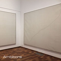 Ambibore