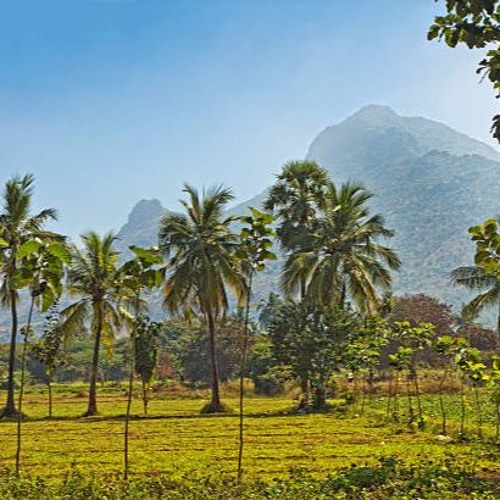 the glory of arunachala