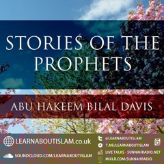 Story Of Prophet Hud| Abu Hakeem Bilal Davies|LearnAboutIslam