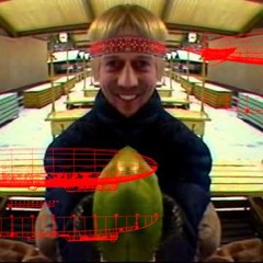 Kuldne Trio - Kurgid Sulle, Raha Mulle (Raadio Kohila Remix)