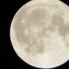Luna Llena (Vocals Zen Blythe/Ness Lee Composition/Production CHEEF)
