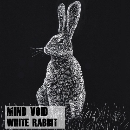 Mind Void - White Rabbit | Free Download |