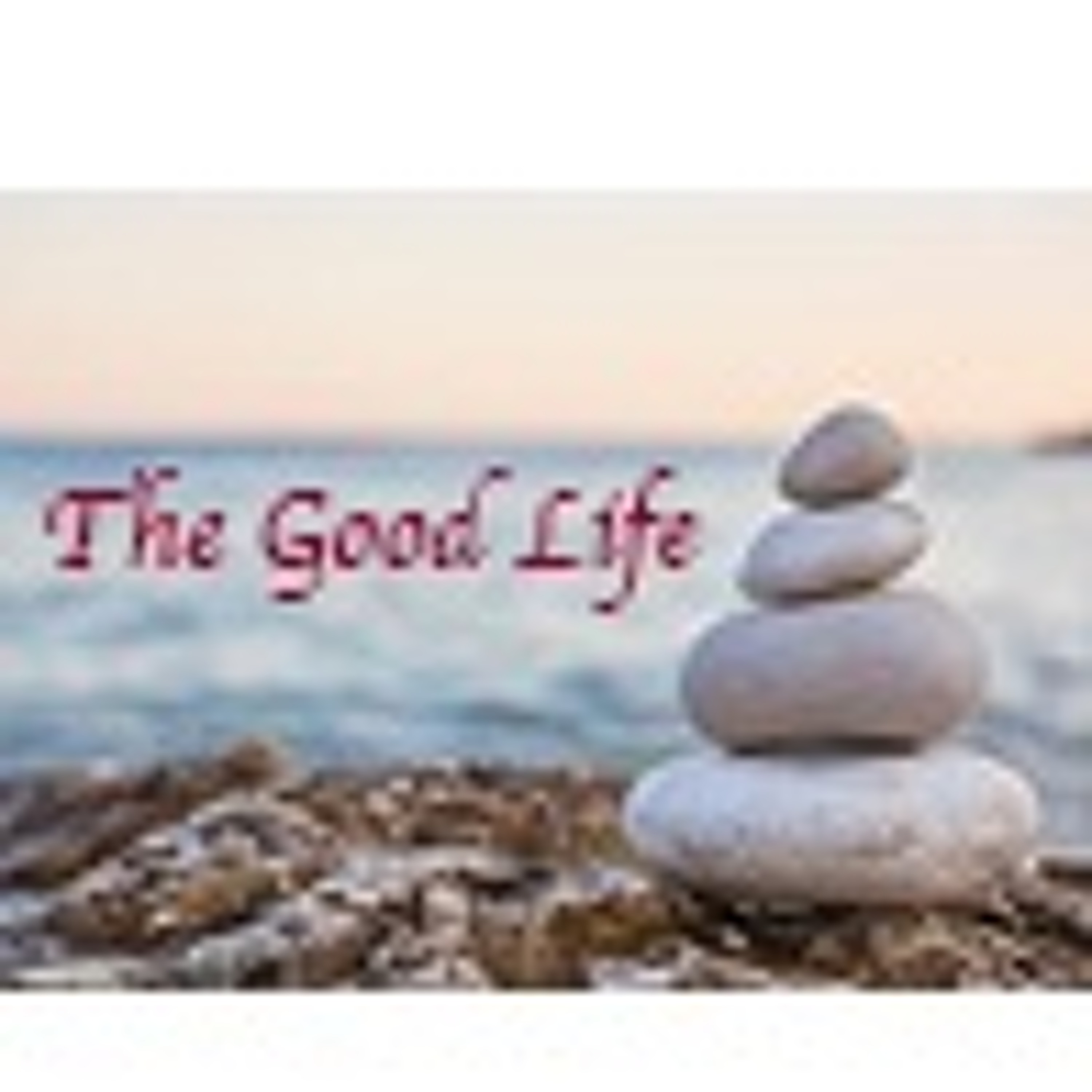 The Good Life Episode V Mixdown episode artwork