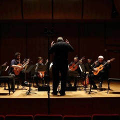 Sheer Pluck does Reich, Electric Counterpoint, mvt. II