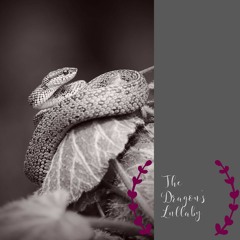The Dragon's Lullaby