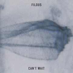 Can't Wait