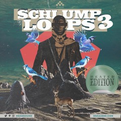 MSXII - Schlump Loops 3 Demo [Heated Edition]