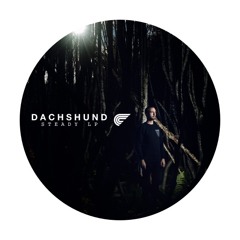 Dachshund - Mass Effect (Original Mix) [Clapper] [MI4L.com]