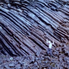 And When You Fall You'll Know You Have A Heart