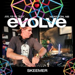 Temple Toons @ the evolve festival 2017