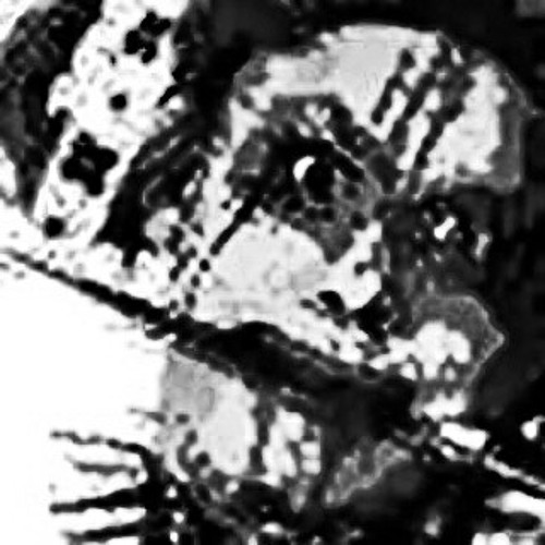 DARKVORTEX - LILNegrOWHITE