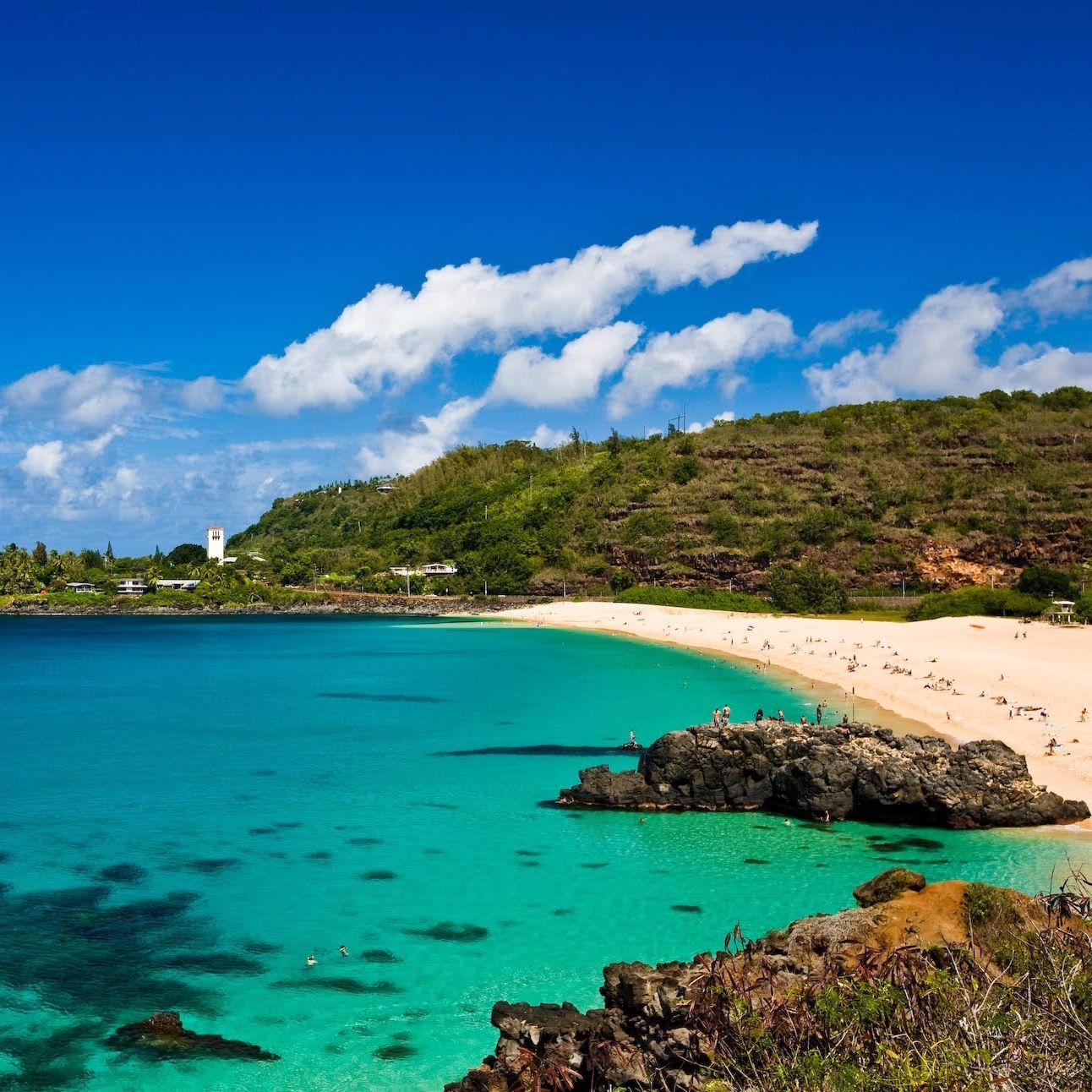 Landon McNamara – -Loss For Words