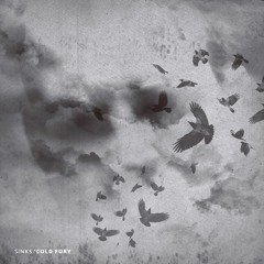 Sinks - Vacate the Premises Feat. Flu & DJ 2Buck