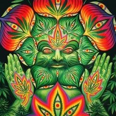 Turbulence - Fyah Bun Dem