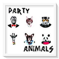 Party Animals