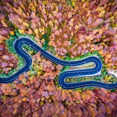 Autumn Beats Collection
