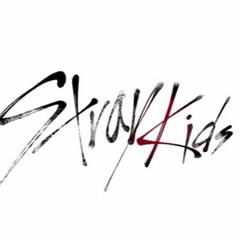 STRAY KIDS - HELLEVATOR ( HALL CONCERT + RAIN )
