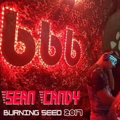 Bean Bag Babylon- Burning Seed 2017