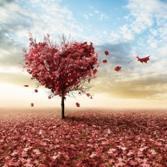 Yavuz Bingol - Daglar اغاني تركية حزينة