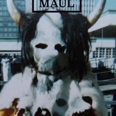 005-MAUL-Luna Park Fire