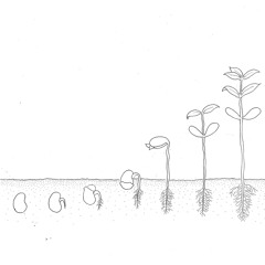 Fireflies (Interlude)