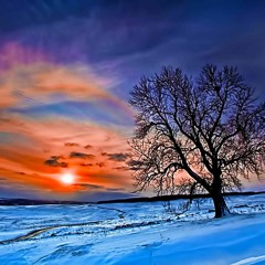 Buspin Jieber - Winter
