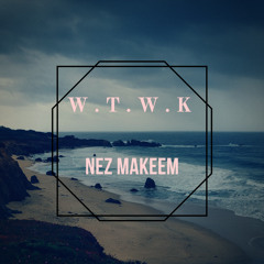 Nez Makeem - What they wanna know (prod. by Leo Nellz & PlugozBeatz)