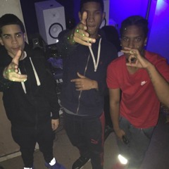 TURBO- B HERBO X GREESY X D MULA