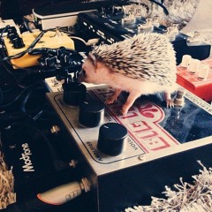 OxyKitten- Indian Summer jam