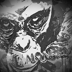 Vollgas!!! (TEKKNATION)