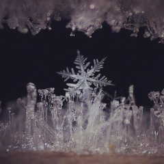 Dj Like-Set-TrickList II (DOWNLOAD)