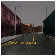 SLOW DOWN [feat. GRAVY]