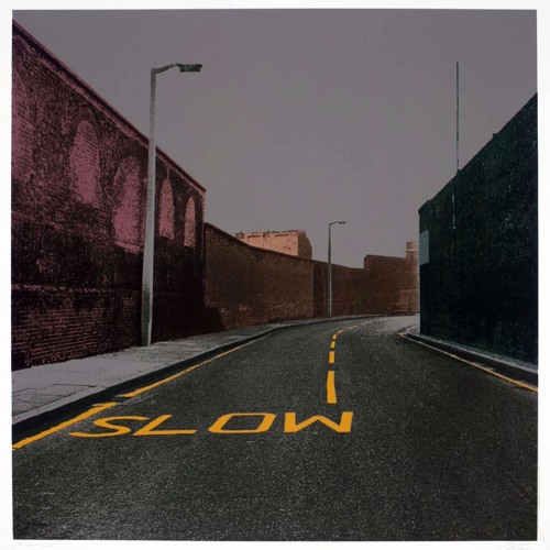 SLOW DOWN [feat. GRAVY]