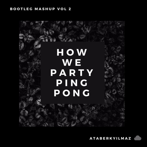 How We Party & Ping Pong | Bootleg Mashup